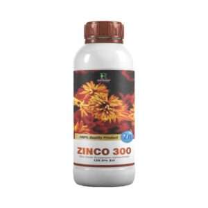 Zinco 300